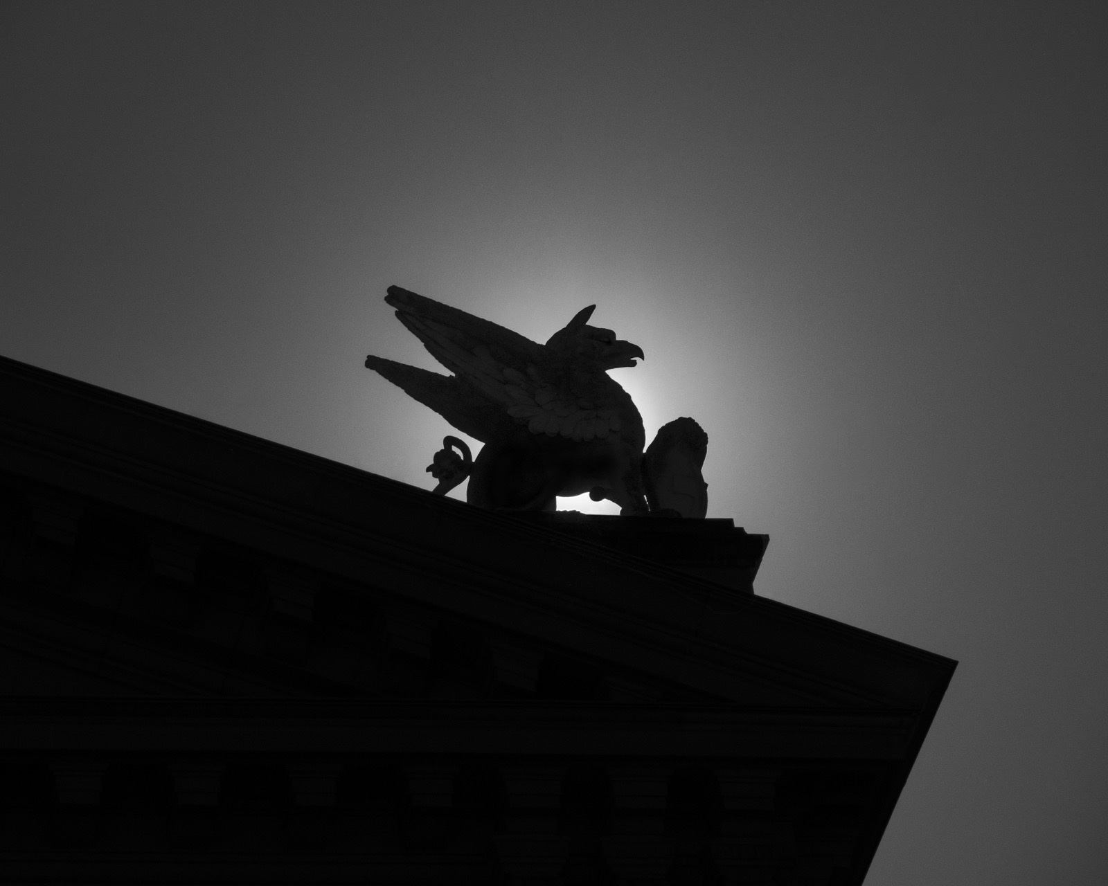 Downloads — Olin Heitmann Photography Studio