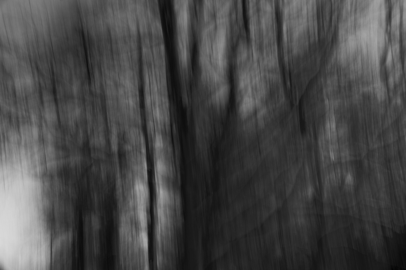 Passing Through — Olin Heitmann