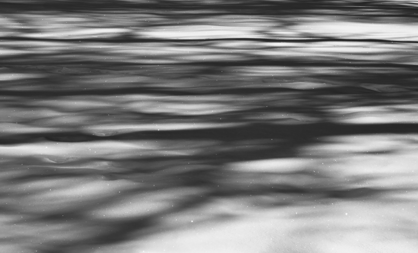 Seasonal Introspection — Olin Heitmann