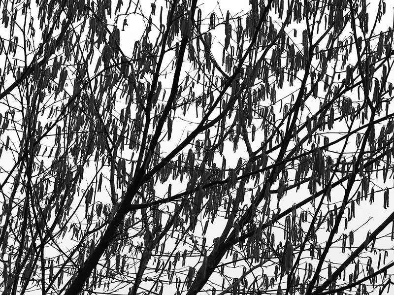 Abstractions — Olin Heitmann